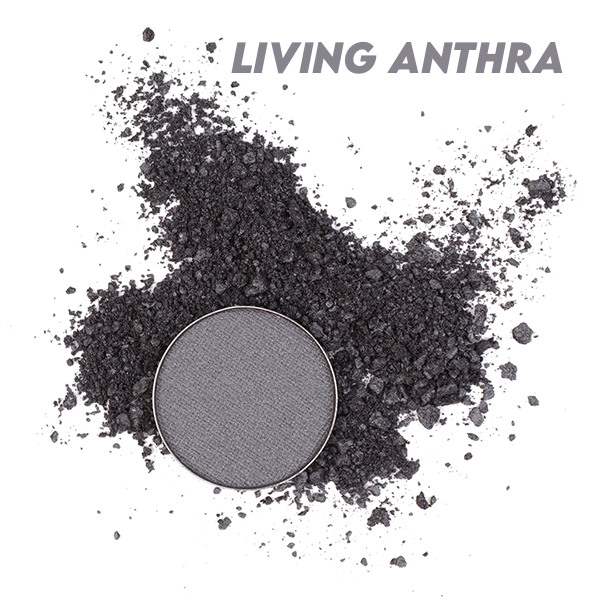 Living Anthra