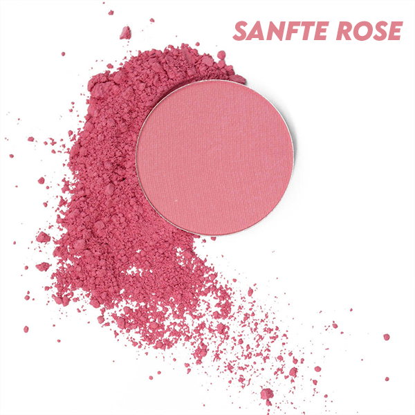 Sanfte Rose