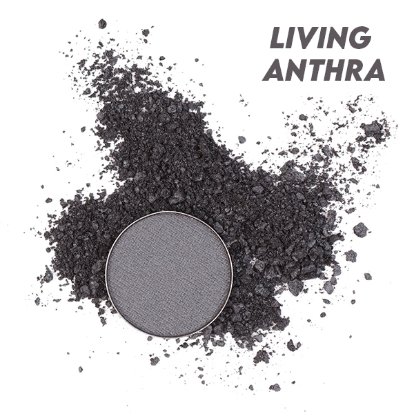 Living Anthra 